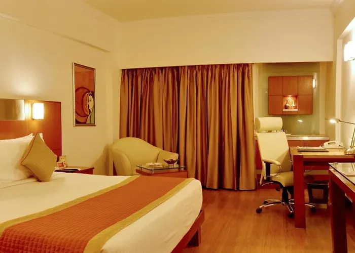 Deluxe King Room